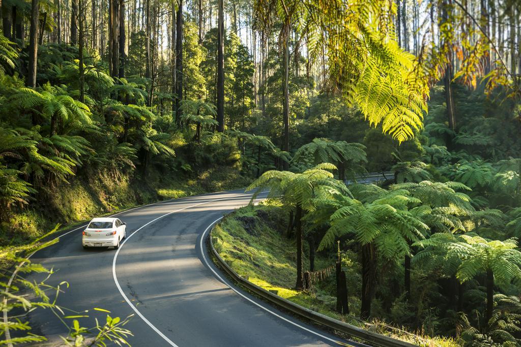 Lithgow Falls Marysville Bagian luar foto